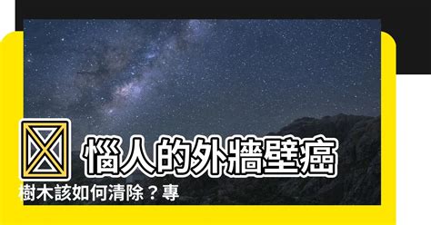 外牆除樹|牆壁長樹怎麼辦？桃園外牆除樹工程全攻略 